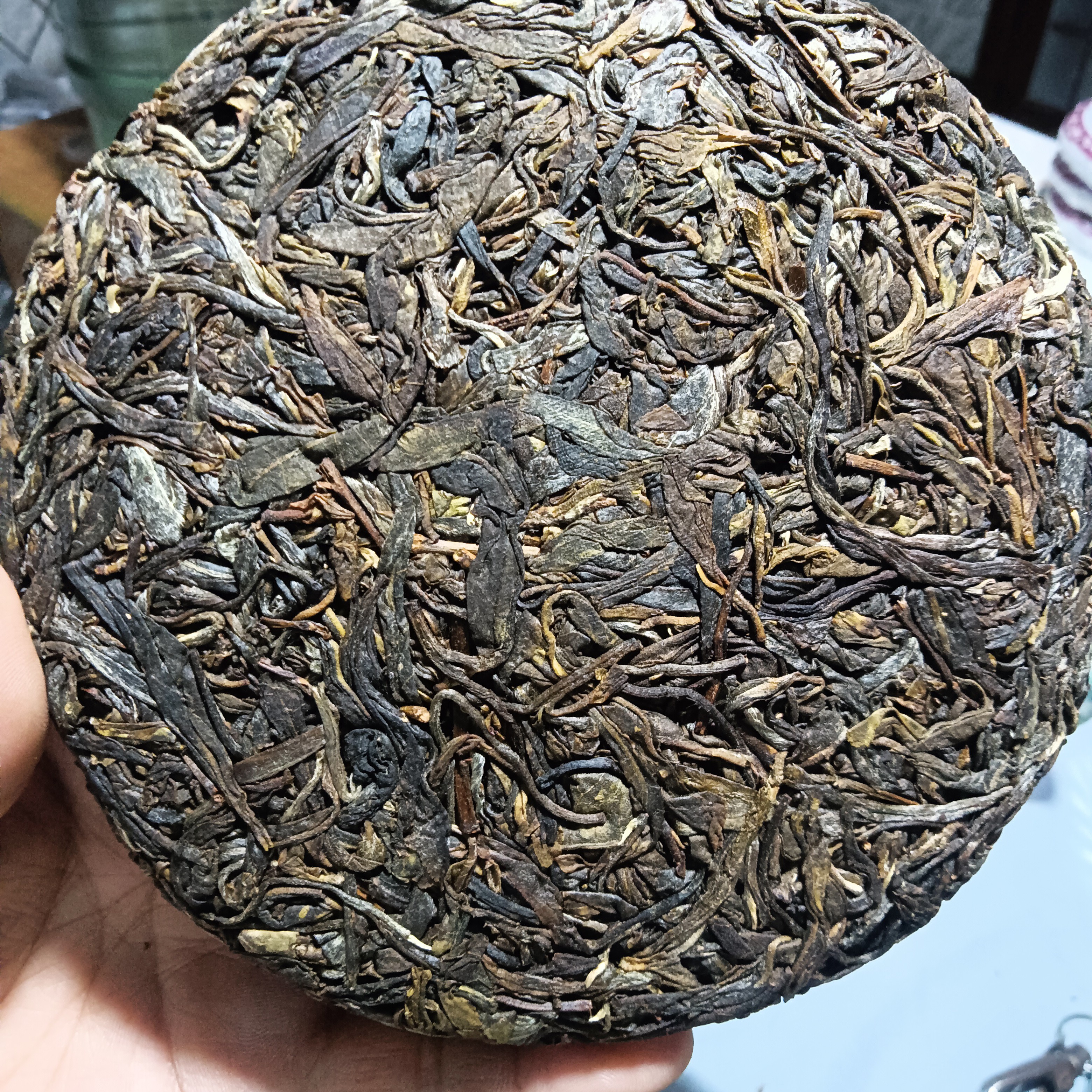 2023年那罕混采古树，头春，有陈香，蜜香，青草香，高香高甜