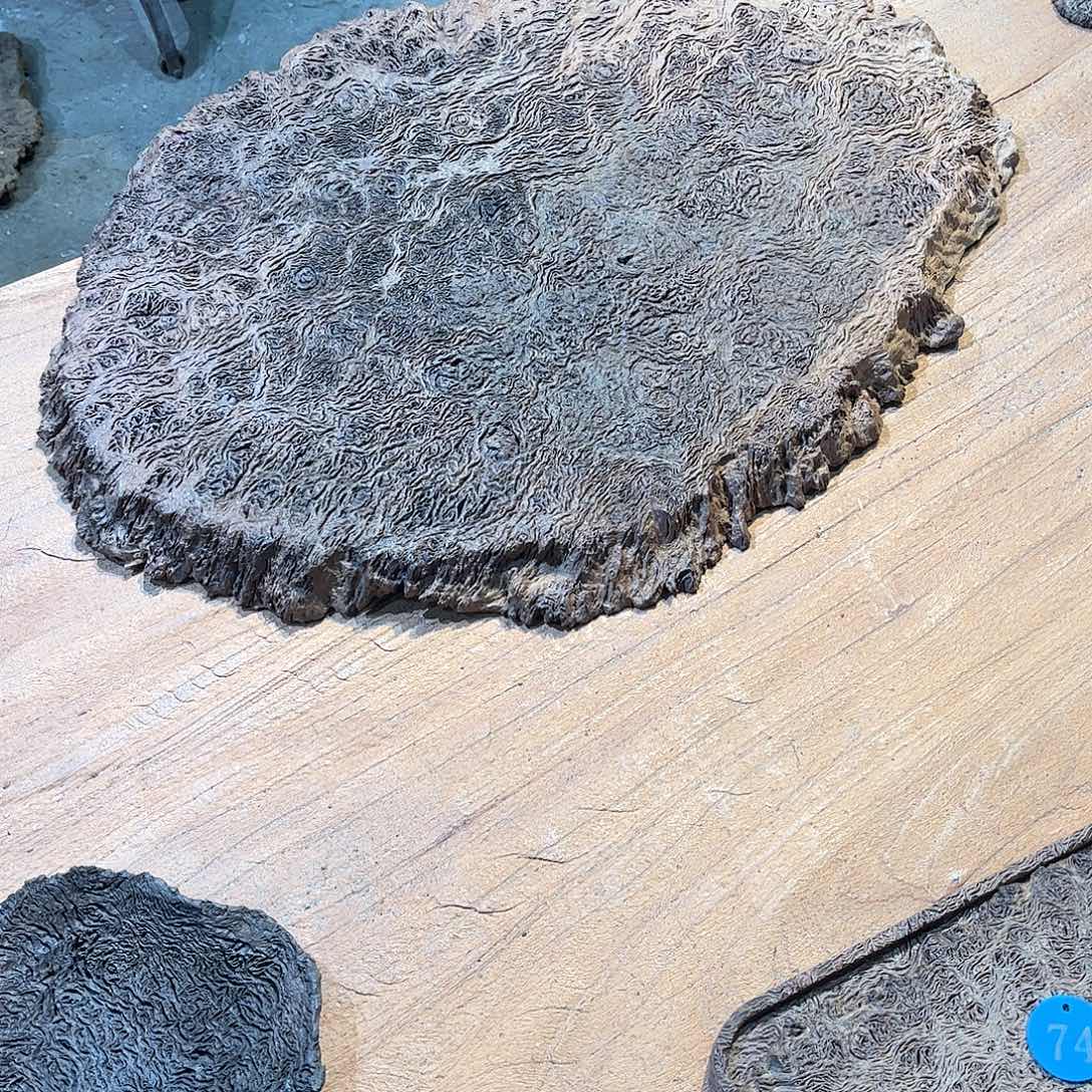 阿***吉有机玻璃铁栎木大尺寸精品