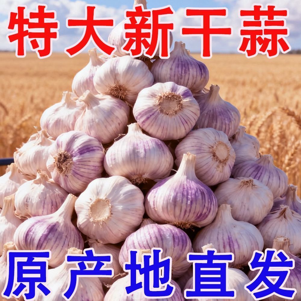 【轻语2】农家自种紫白皮干大蒜头新鲜辛辣