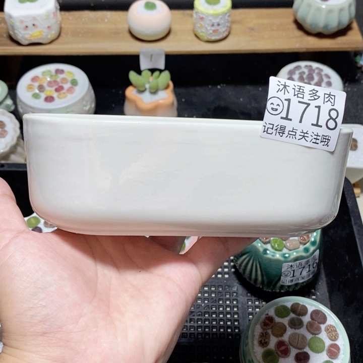 蜡***汤精美盆栽 一物一拍1718