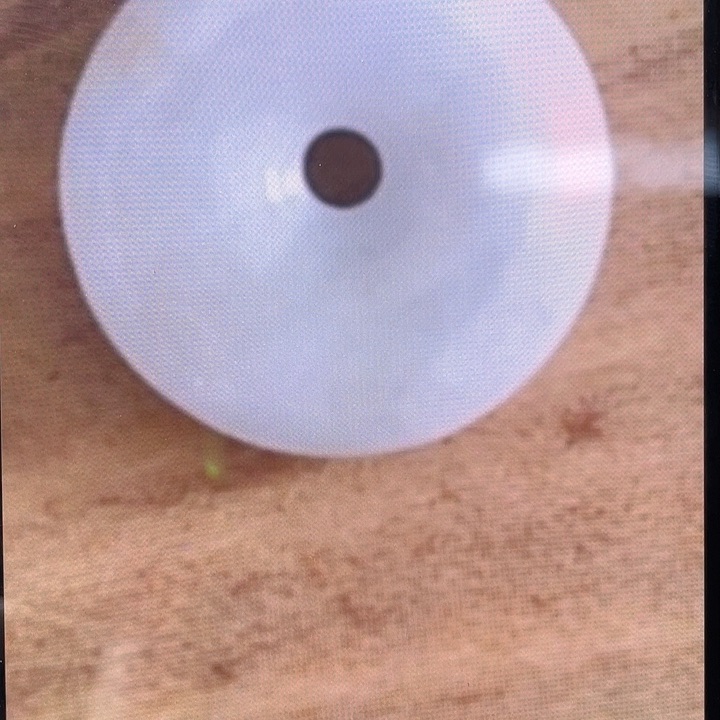 翡翠颈饰未镶嵌纯天然翡翠A货