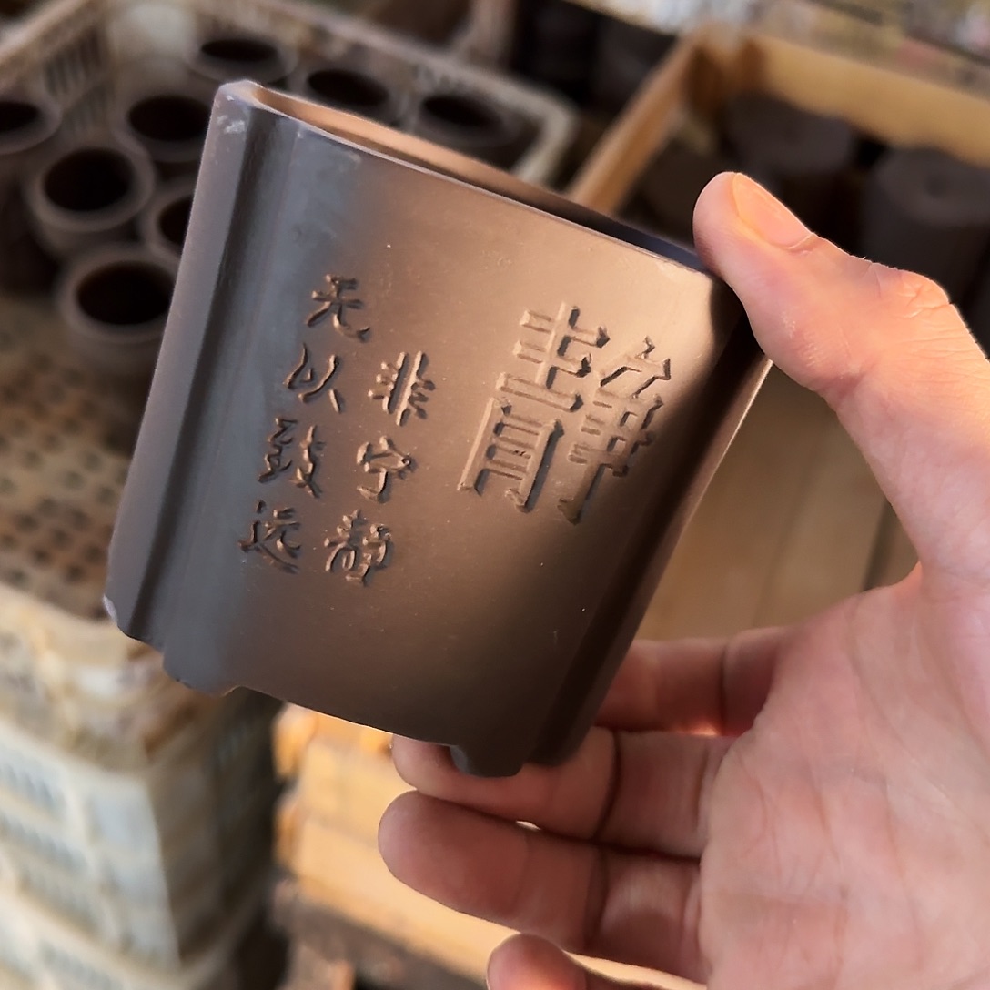 福利局绿植多肉盆［凑9元包邮24小时发］2203