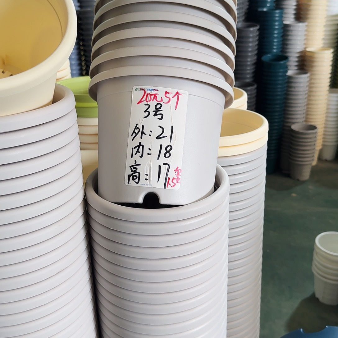 灰白色3号无拖10个