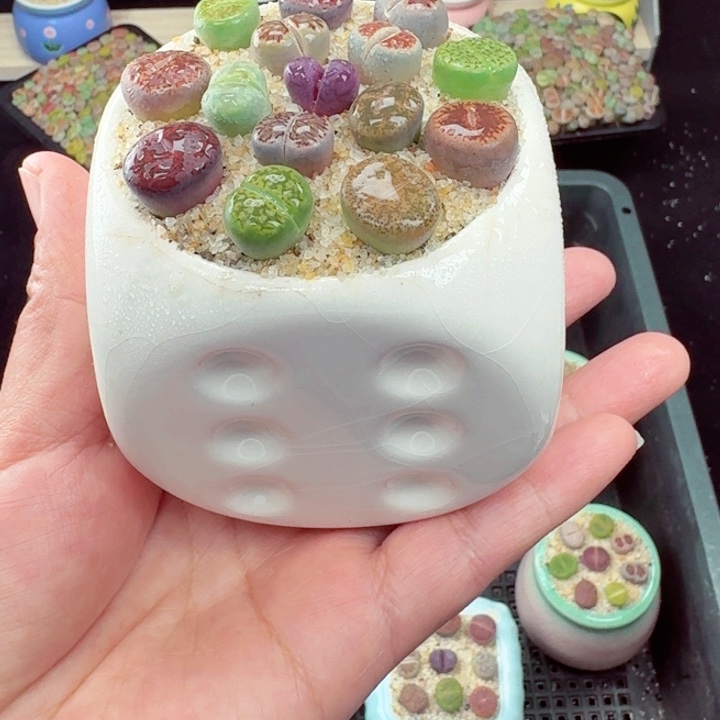 516零下地区记得拍保温箱