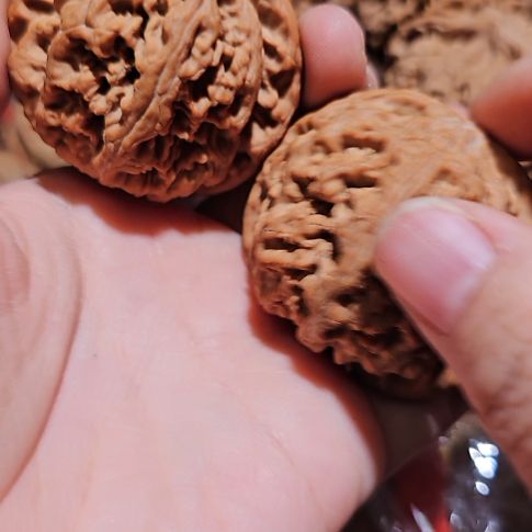 三***子吊坠文玩核桃48粗筋