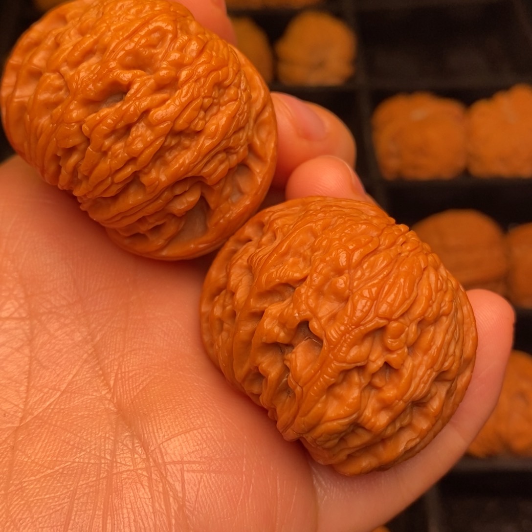 文玩核桃把件秦岭野生核桃