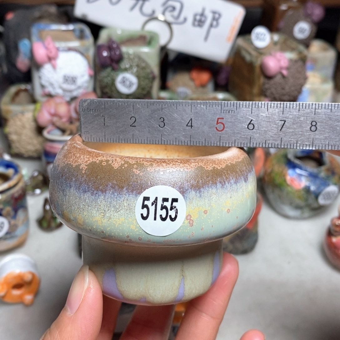 拍5送一个小礼物