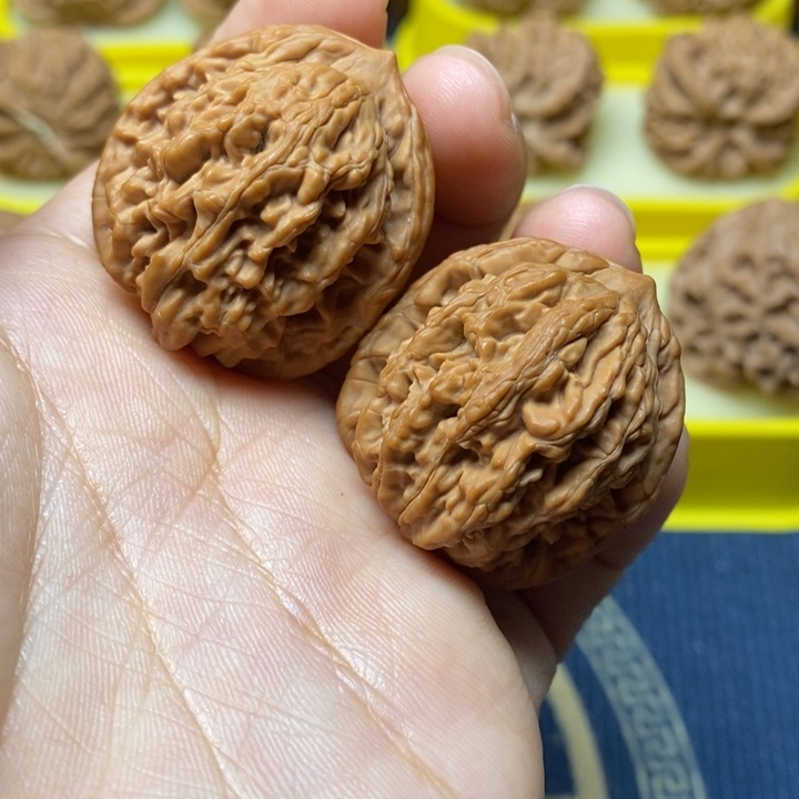 文玩核桃全品虎头32