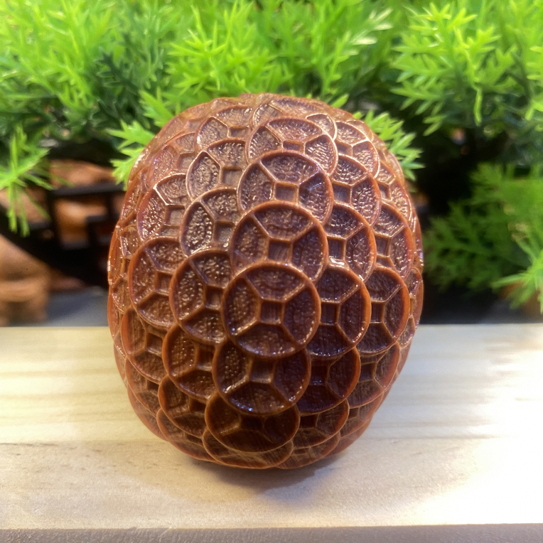 太行崖柏富甲天下金钱龟壳实木雕刻文玩手把件随身装饰品