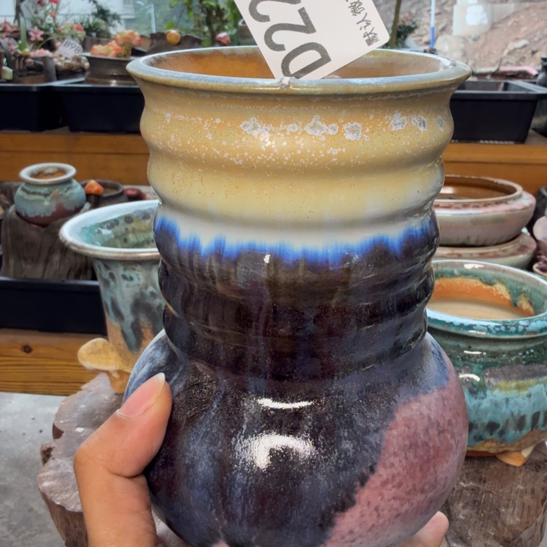 重庆小燕子欢迎大家221