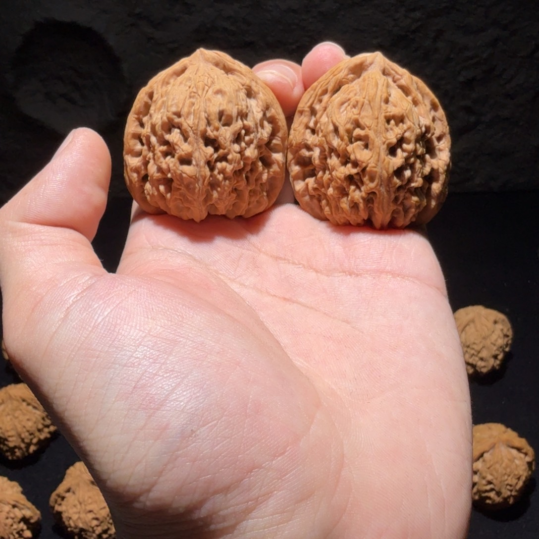 文玩核桃吊坠4号41鹰嘴南疆石