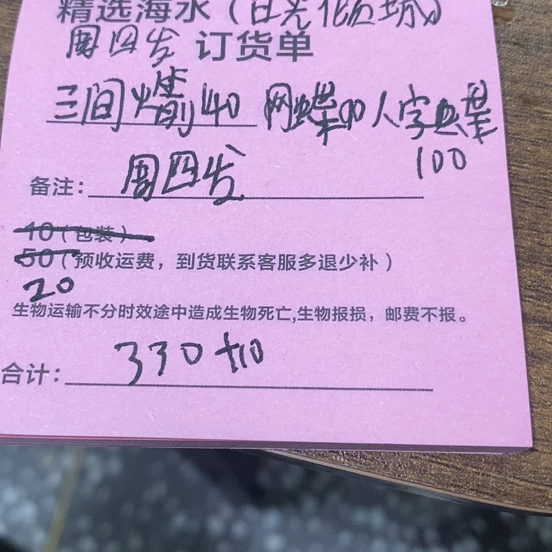 海水鱼三件火箭 网碟 人字碟