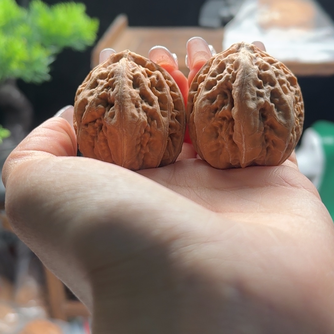 文玩核桃把件关东木子楸百核214