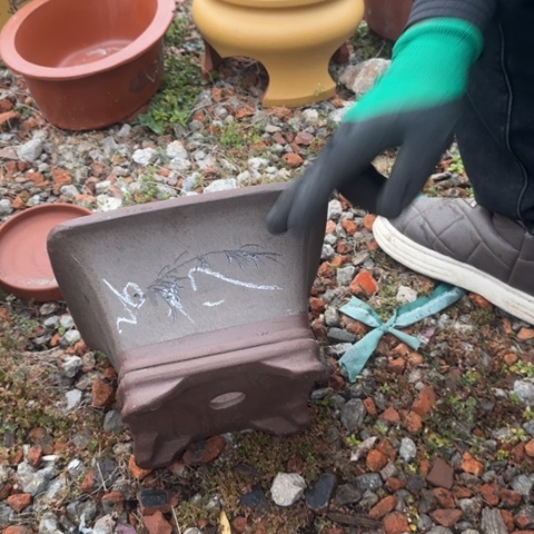 红陶紫砂花盆盆景盆栽