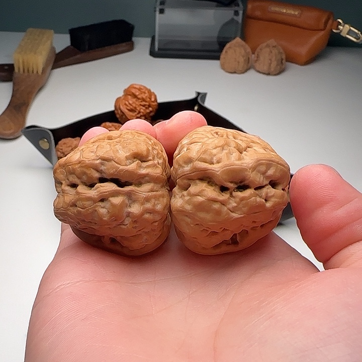 37-42-33蛙开背蟾型好C2号