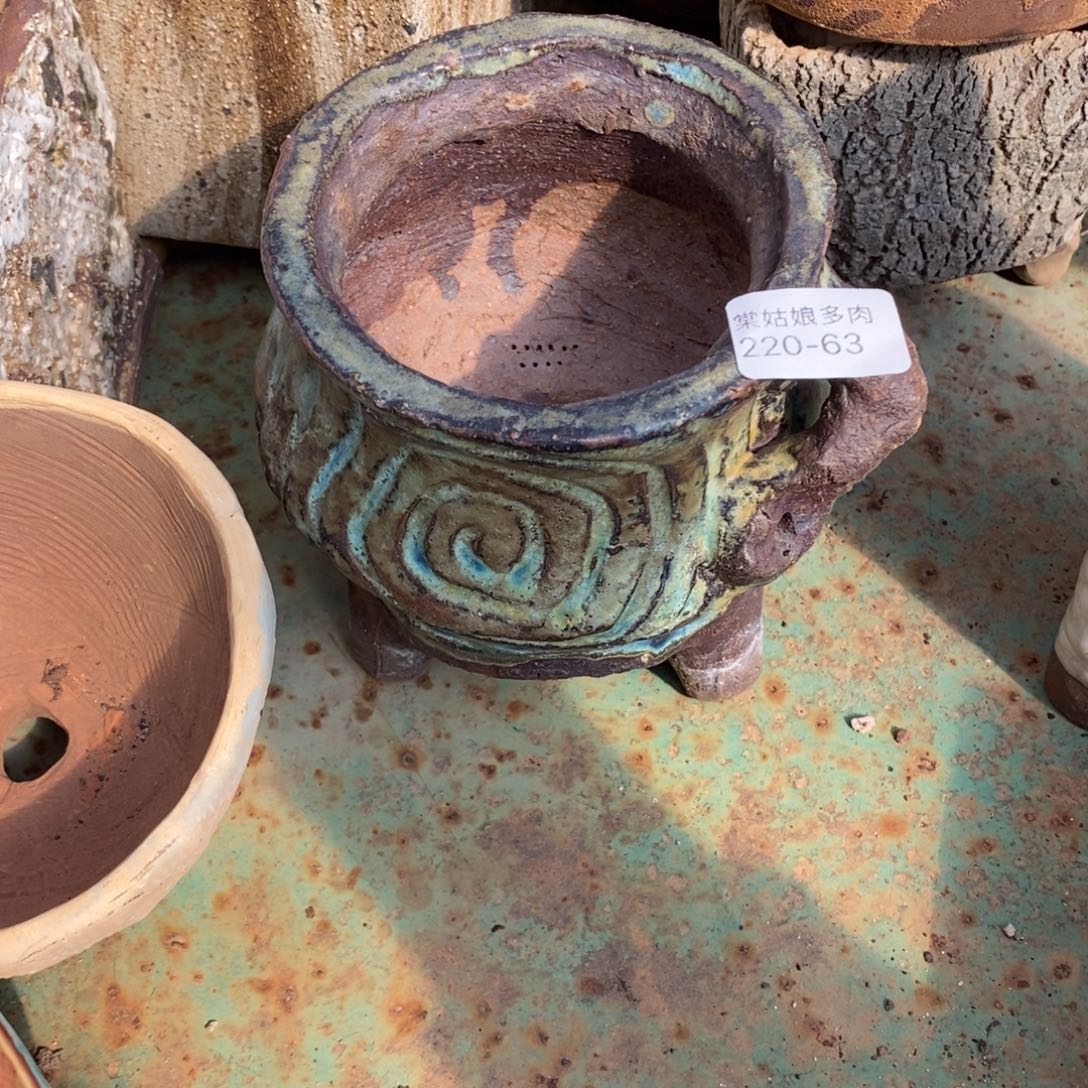 红陶彼*63号多肉盆一个呀