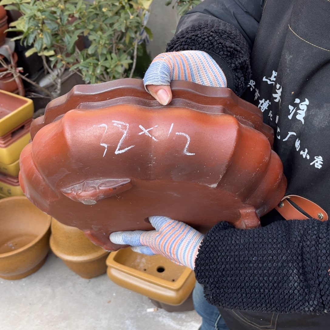 紫砂花盆盆景艺术