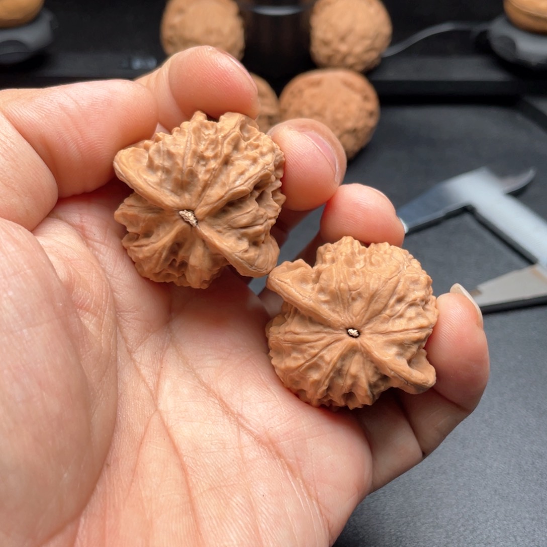 文玩核桃把件野狼