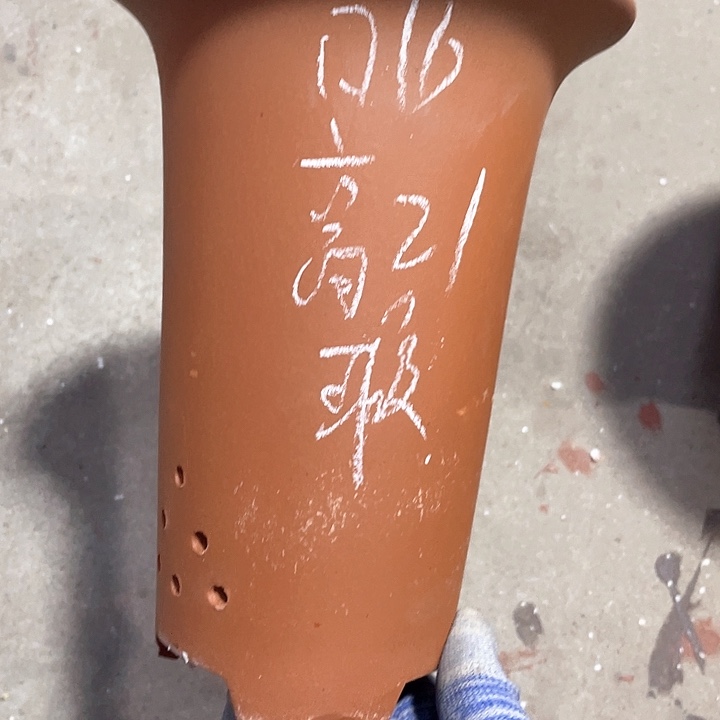 红陶紫砂学生学习数学