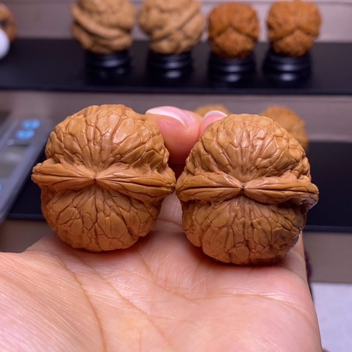 文玩核桃把件金龟玉甲44