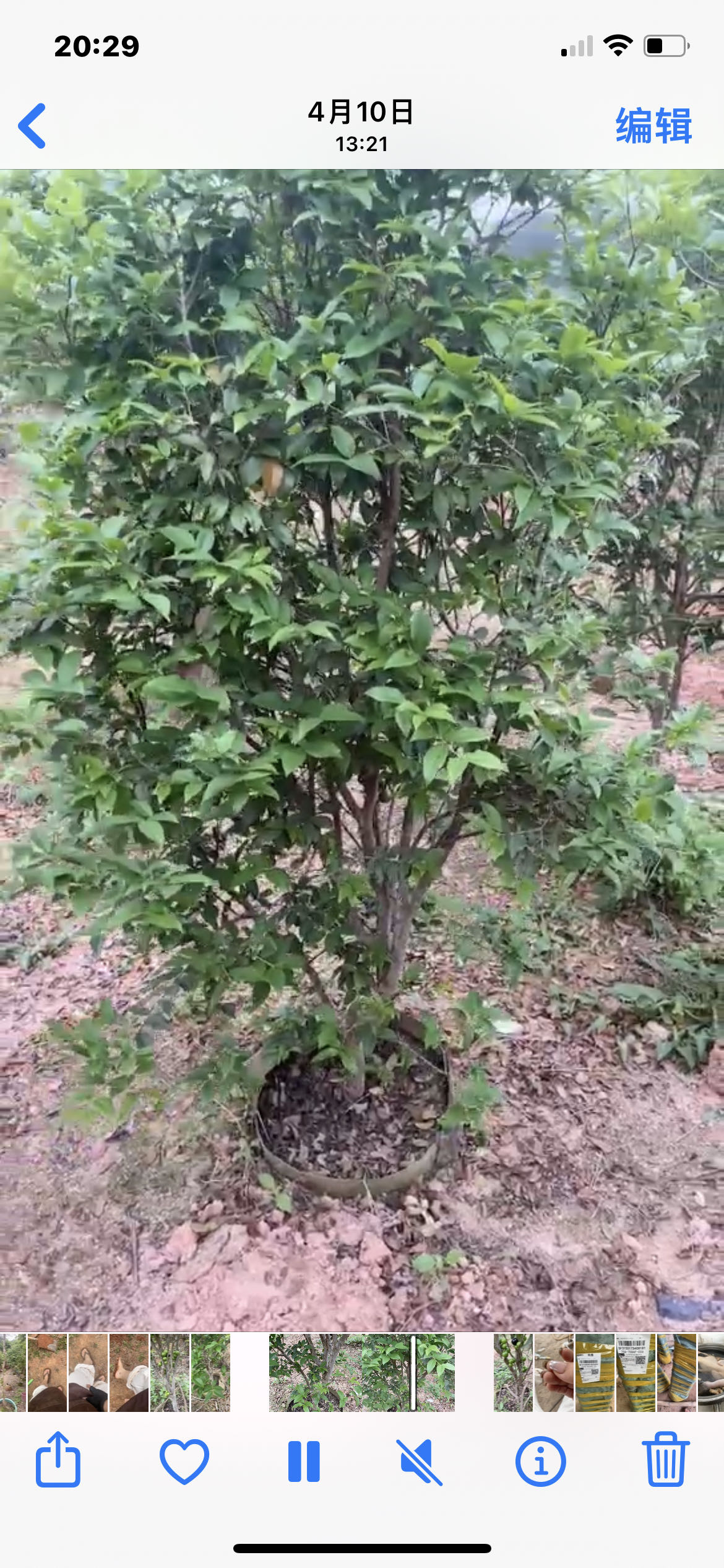 嘉宝 果一物一拍