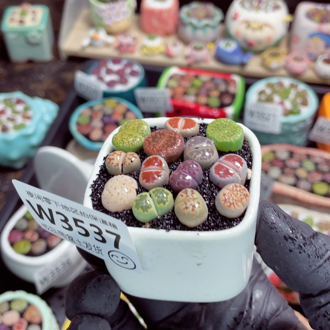 夜间零下地区拍保温箱w3537