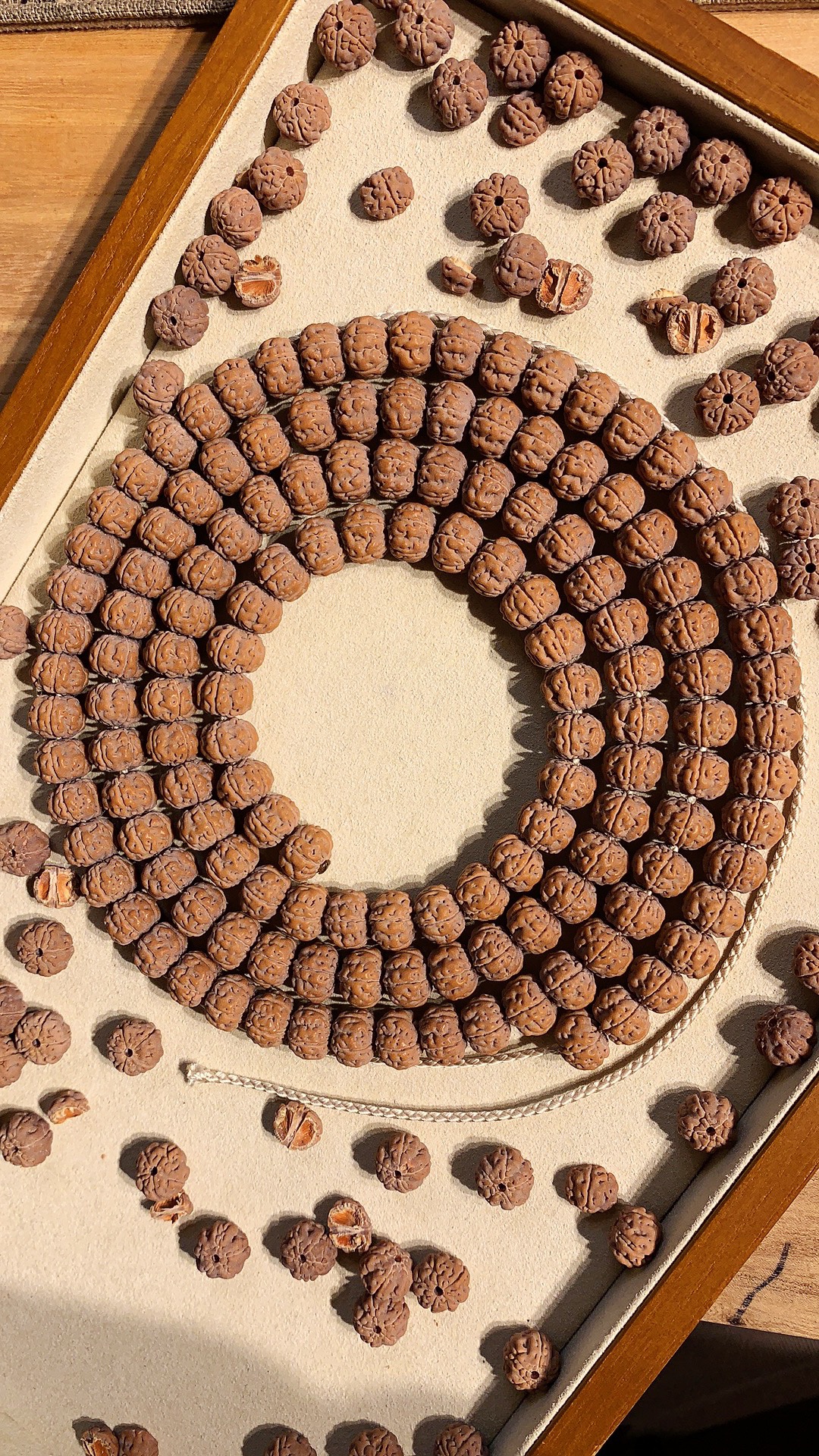 【纯血老树王】教授出品矮桩双龙纹老树王纯血108颗小金刚脖挂手串