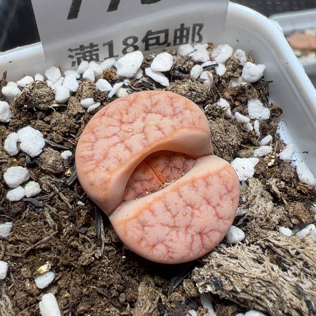 【闪购商品】 773。    