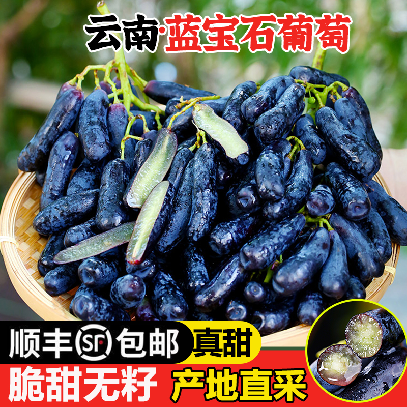 8-4日现货明日达【基地直采】JJ云南蓝宝石葡萄新鲜当季水果金手指无籽黑提0.5-4斤云南省