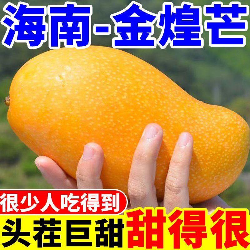 【正宗海南金煌芒】芒果新鲜水果香甜可口应季水果AQ3