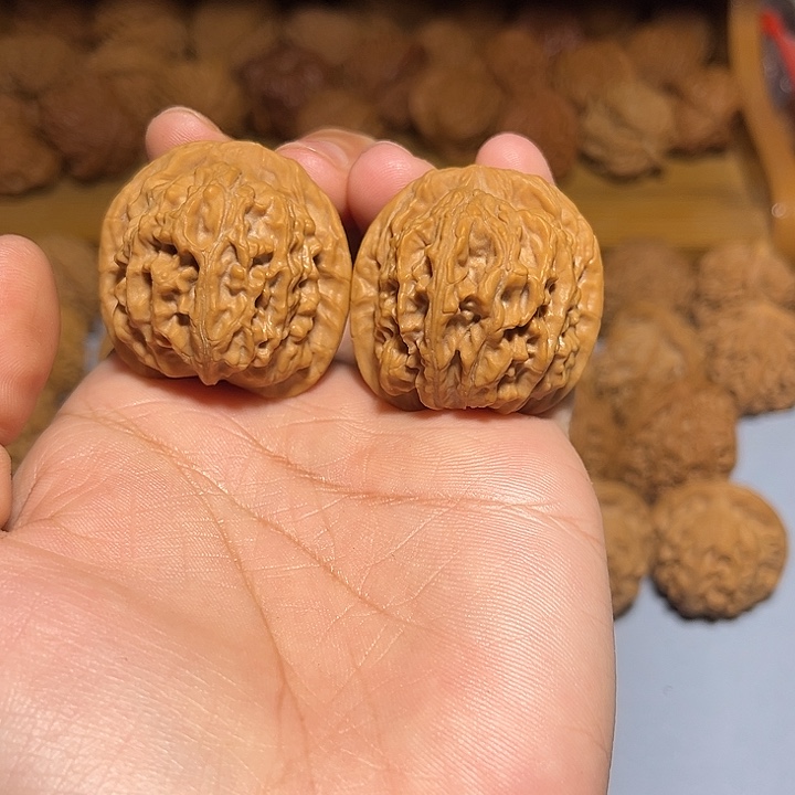 文玩核桃把件36刘子龙一代天地 嘎嘎正