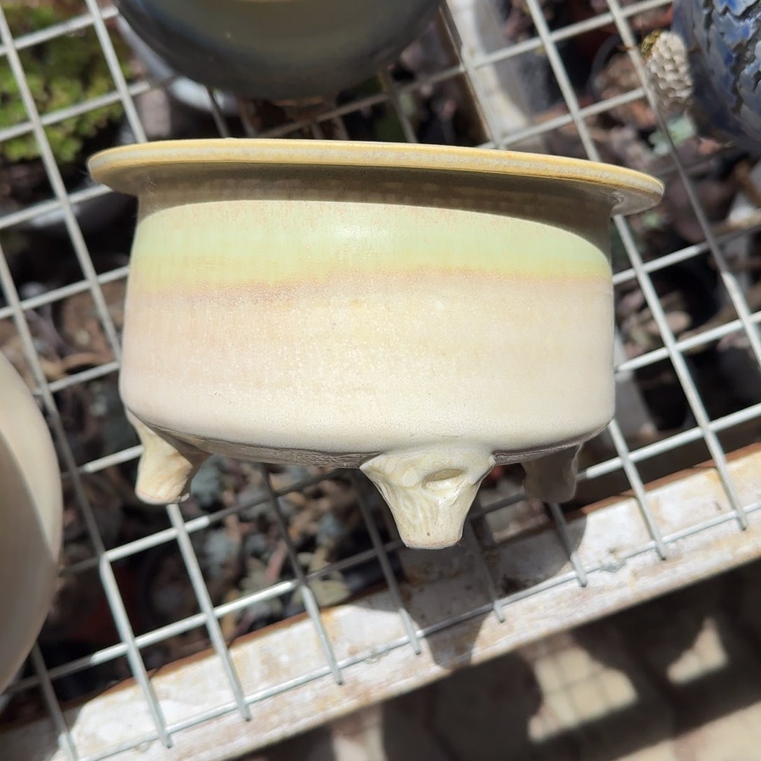 大号帽檐花盆多肉植物