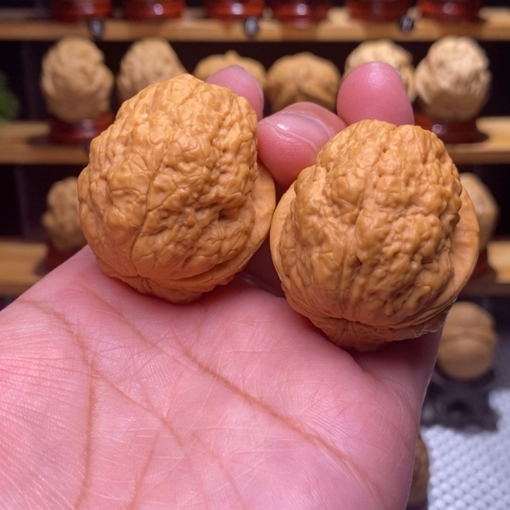 木质类云铁雪魔81号