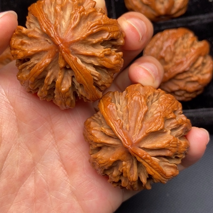 文玩核桃吊坠秦岭核桃