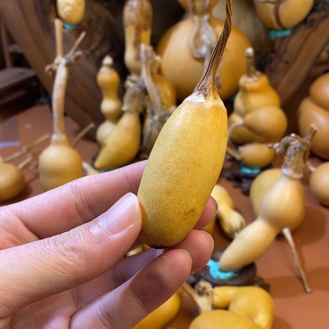 M***M教练教练咯哦哦哦哦你