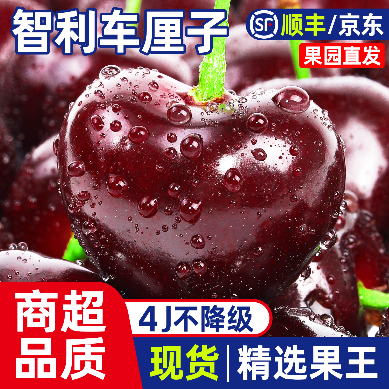 【五斤原箱-明天到】智利进口空运车厘子顺丰/京东3JD果王净重5斤内附果径卡桑提娜樱桃智利共和国