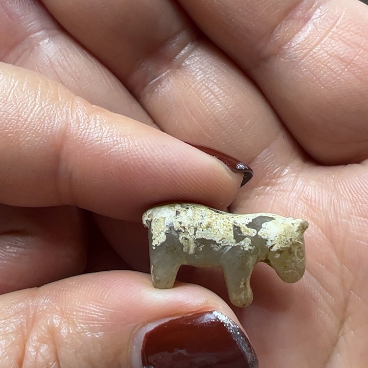 谢谢老师的支持谢谢