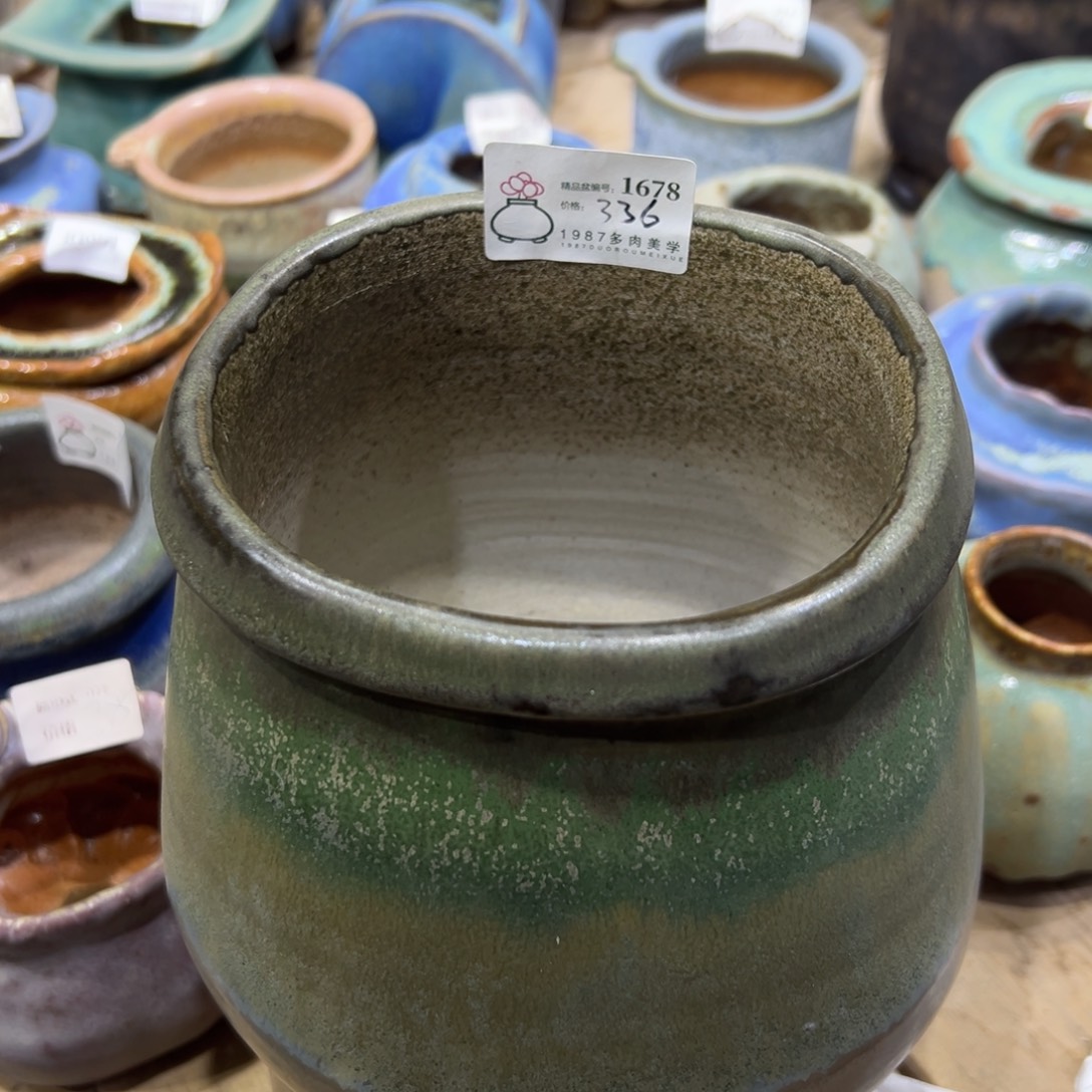 海岸线精品盆1678