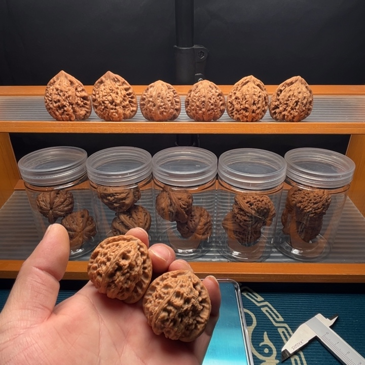 龙脊菩提吊坠全品39三角白狮子一对。