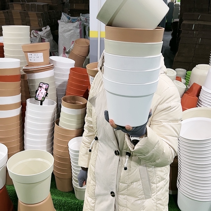 正品红陶口16.7高14.5白色无托6只