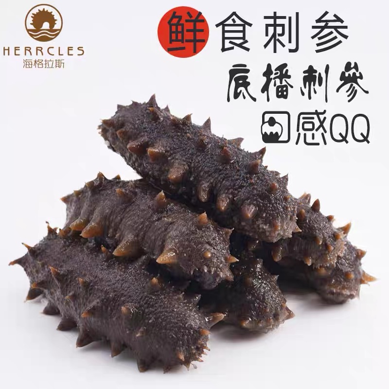 海格拉斯即食鲜食野生辽参（2斤）