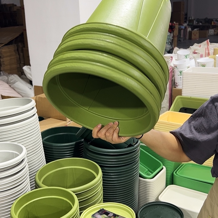 青山口32高28果绿无托5只