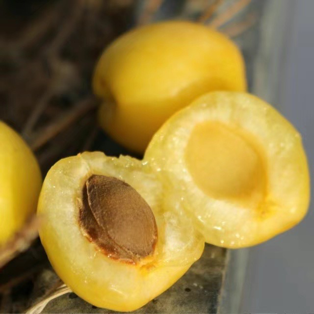 预售6月1号发货新疆小白杏 软糯香甜 汁水充足 新疆直飞京东航空