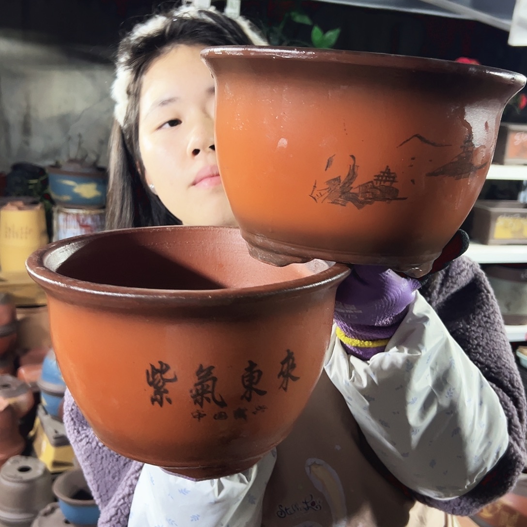 25+25紫气东来花盆花盆花盆