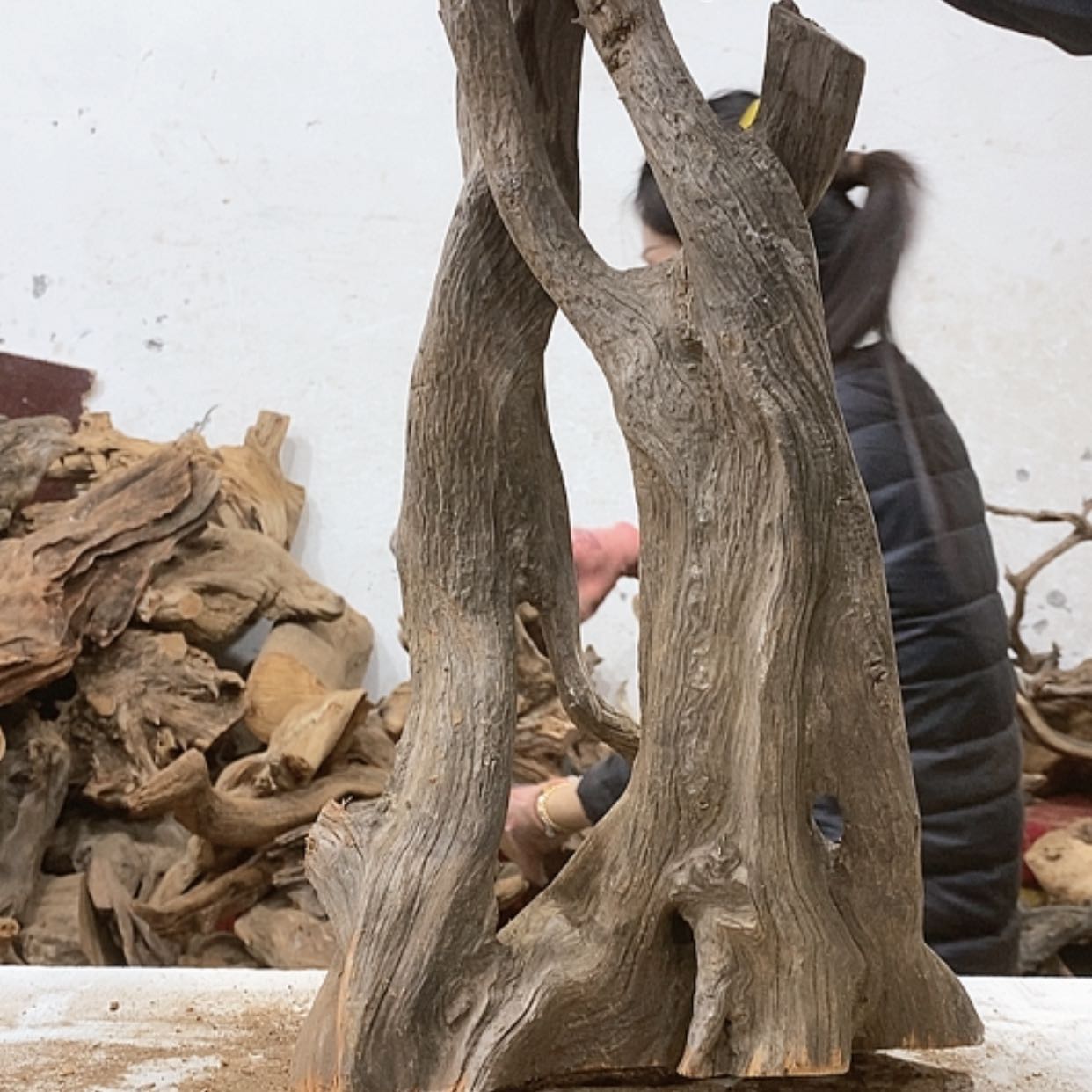 【闪购商品】柏木山****王我们都是好孩子