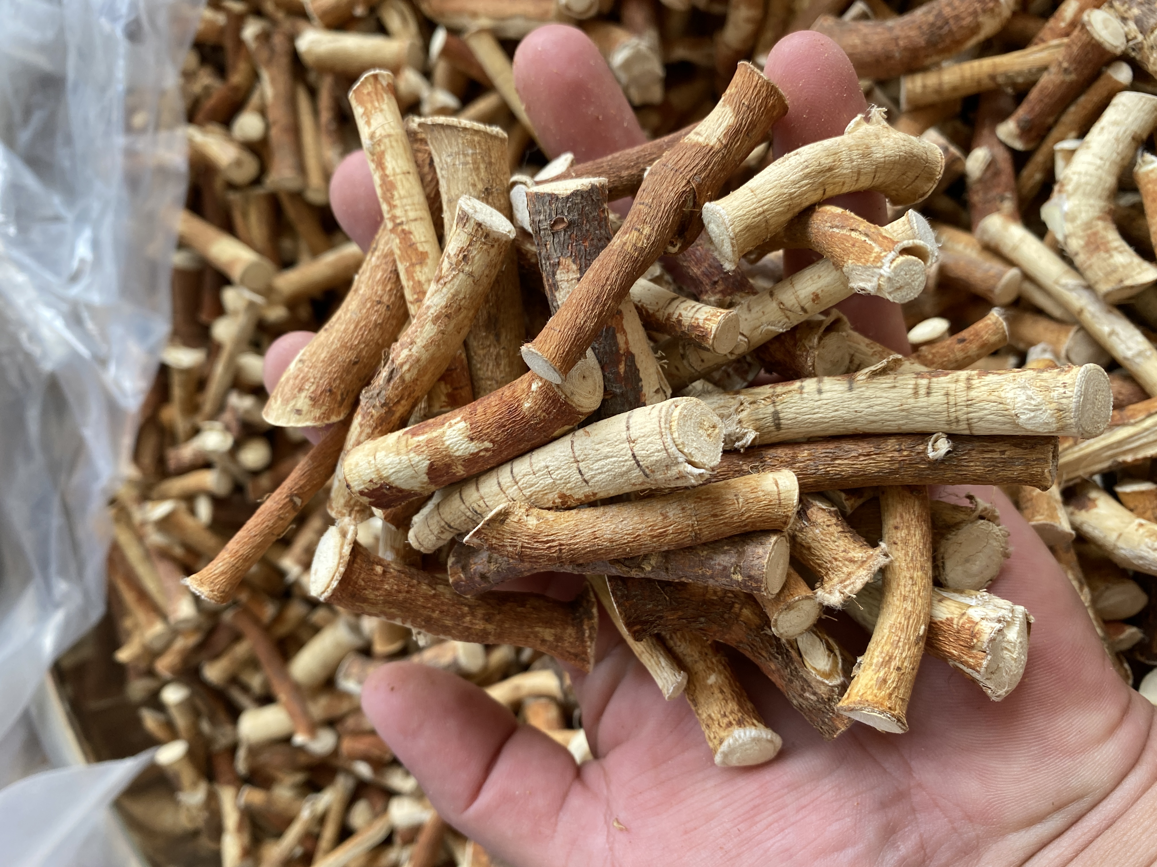 广西大山里的小叶五指毛桃精选品农家自晒无硫椰奶香150g/500g