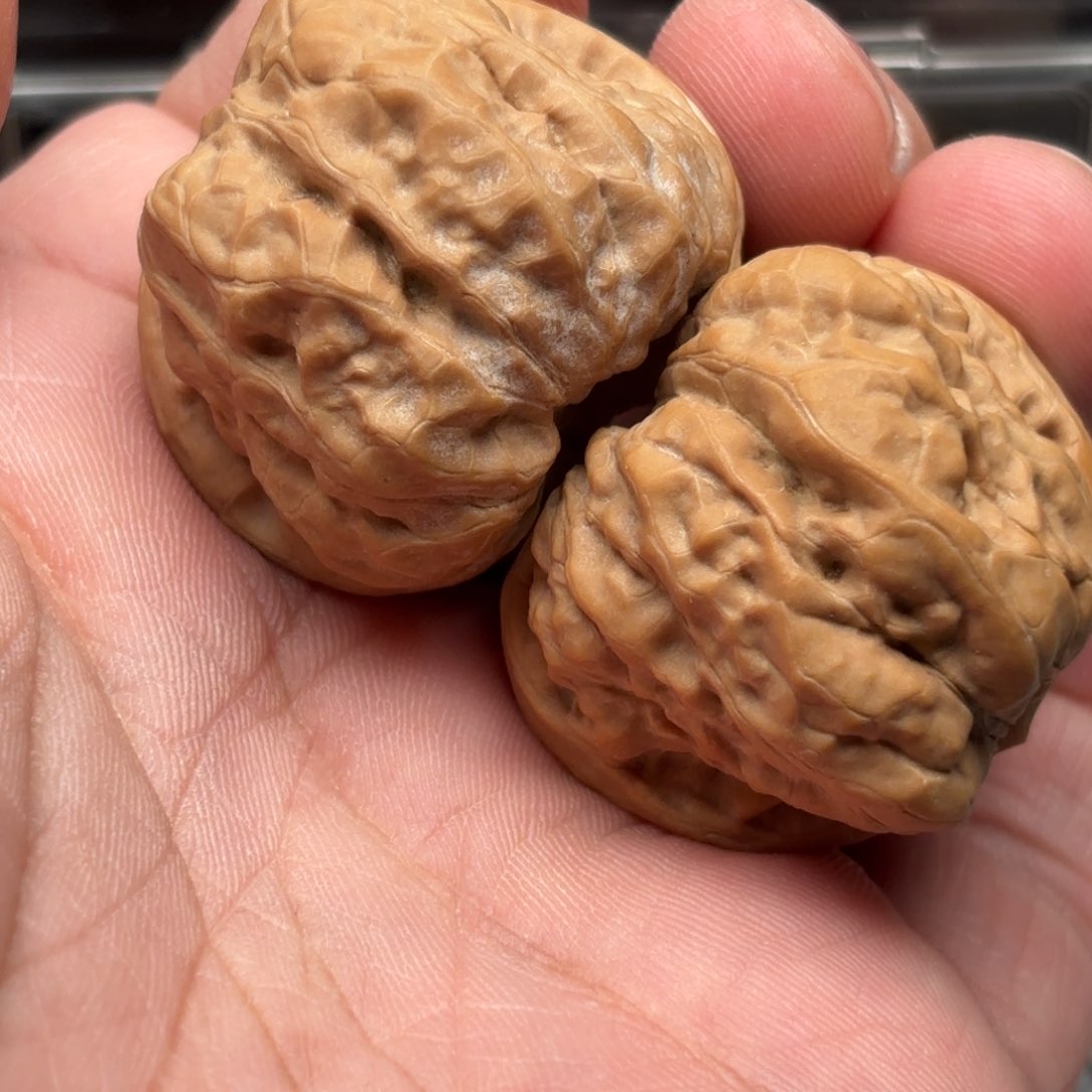 文玩核桃把件蛤蟆