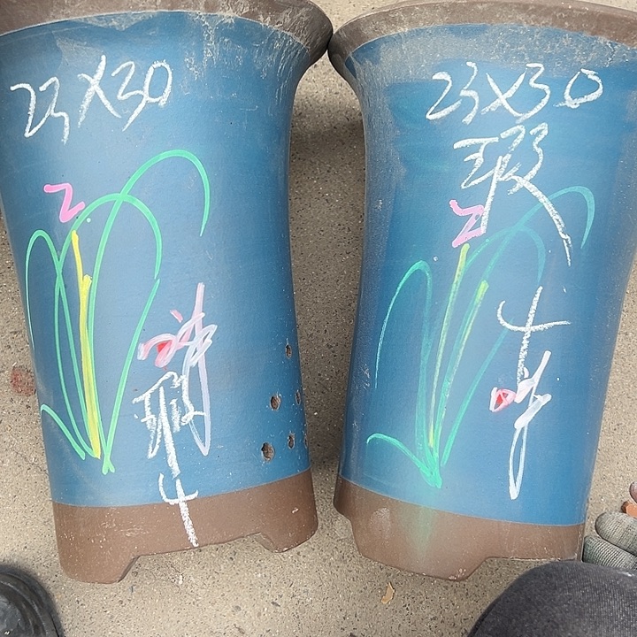 周深周深周深周深 