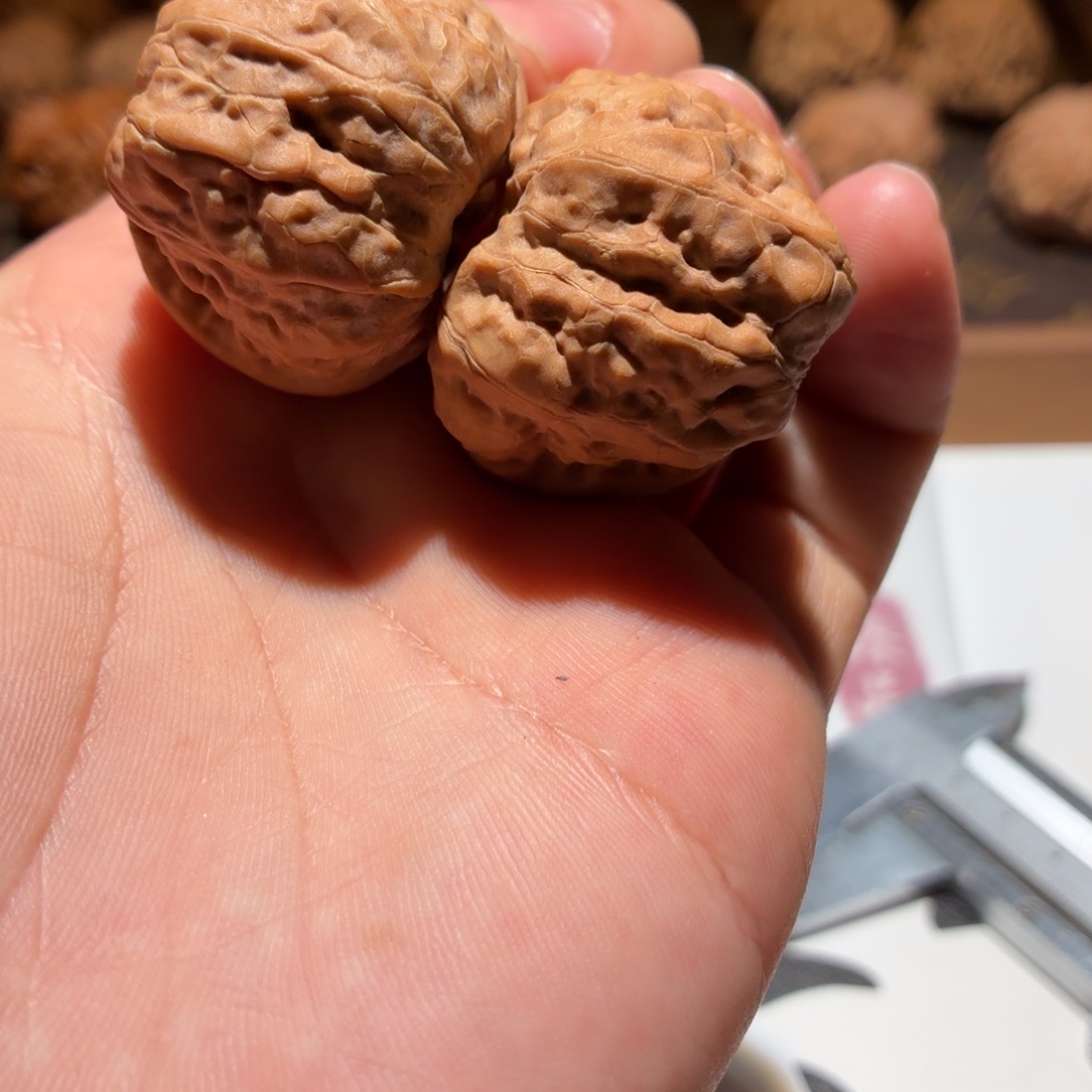 文玩核桃吊坠蛤蟆头F17