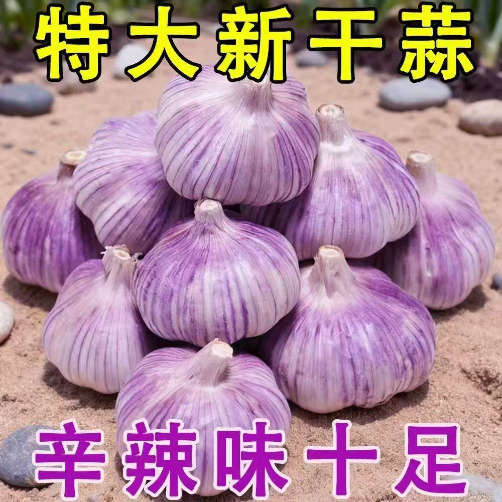到手五斤装紫皮干大蒜